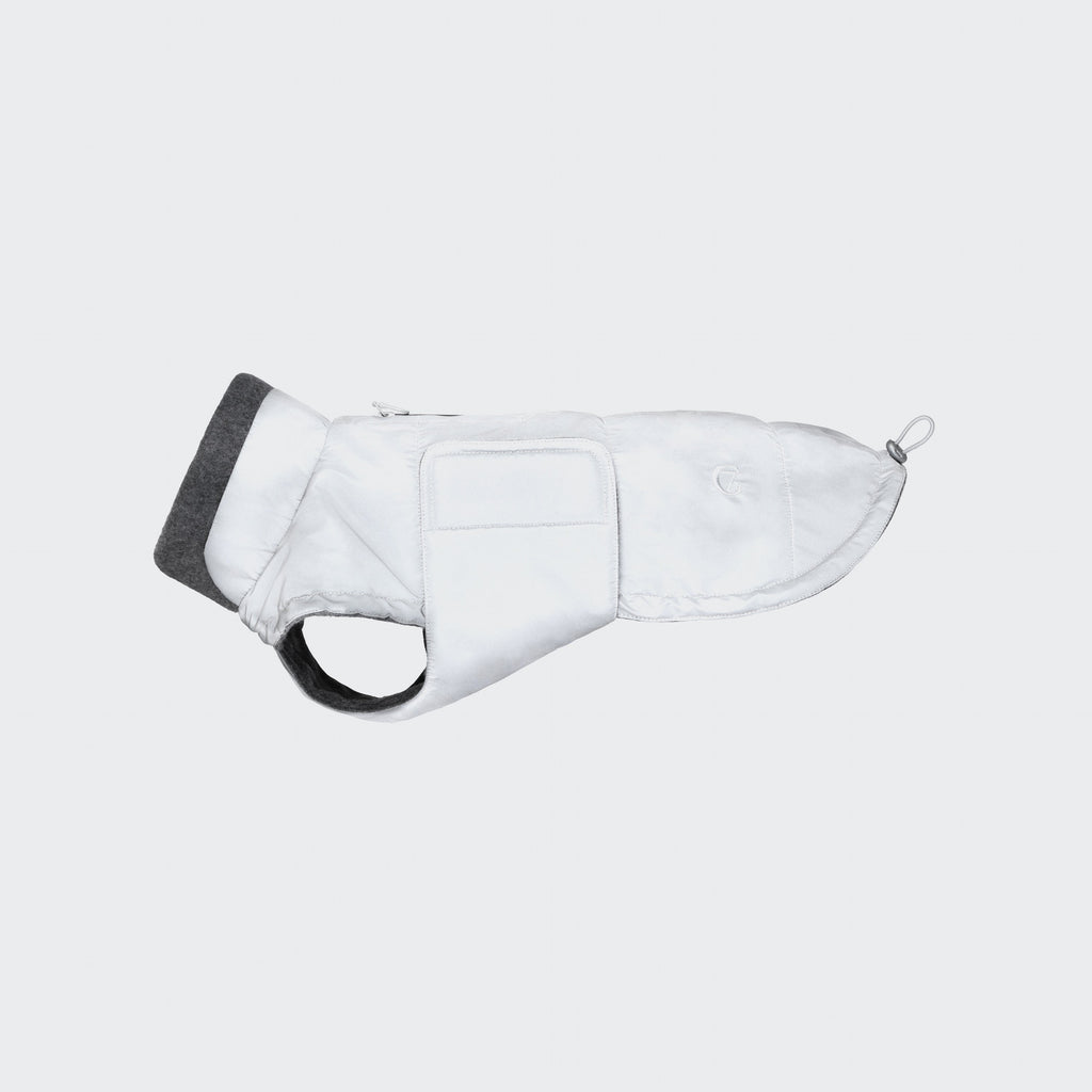 Brooklyn-Style Reflective Dachshund Coat