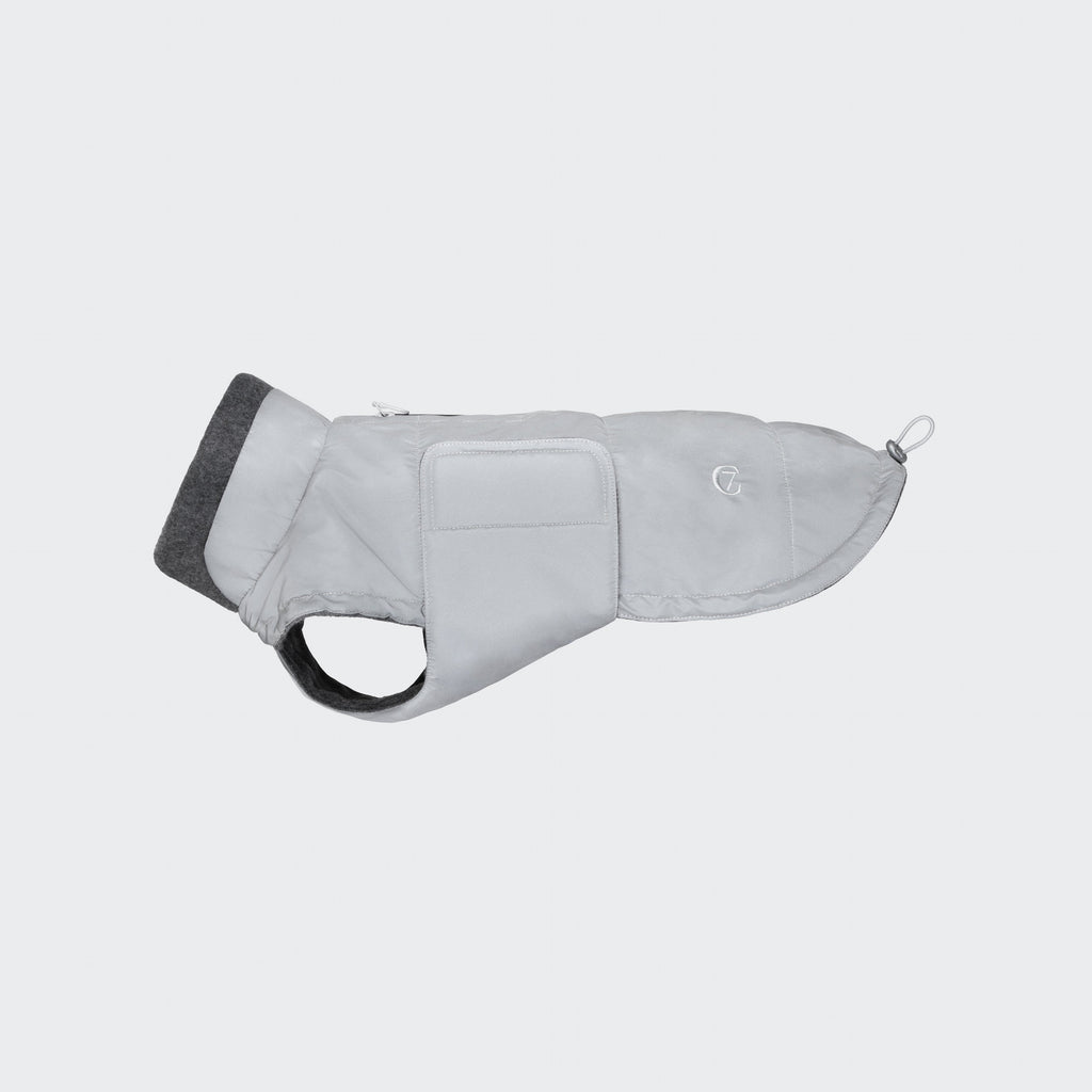 Brooklyn-Style Reflective Dachshund Coat