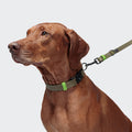 BioThane Ipanema Dog Collar in Olive-Neon Green