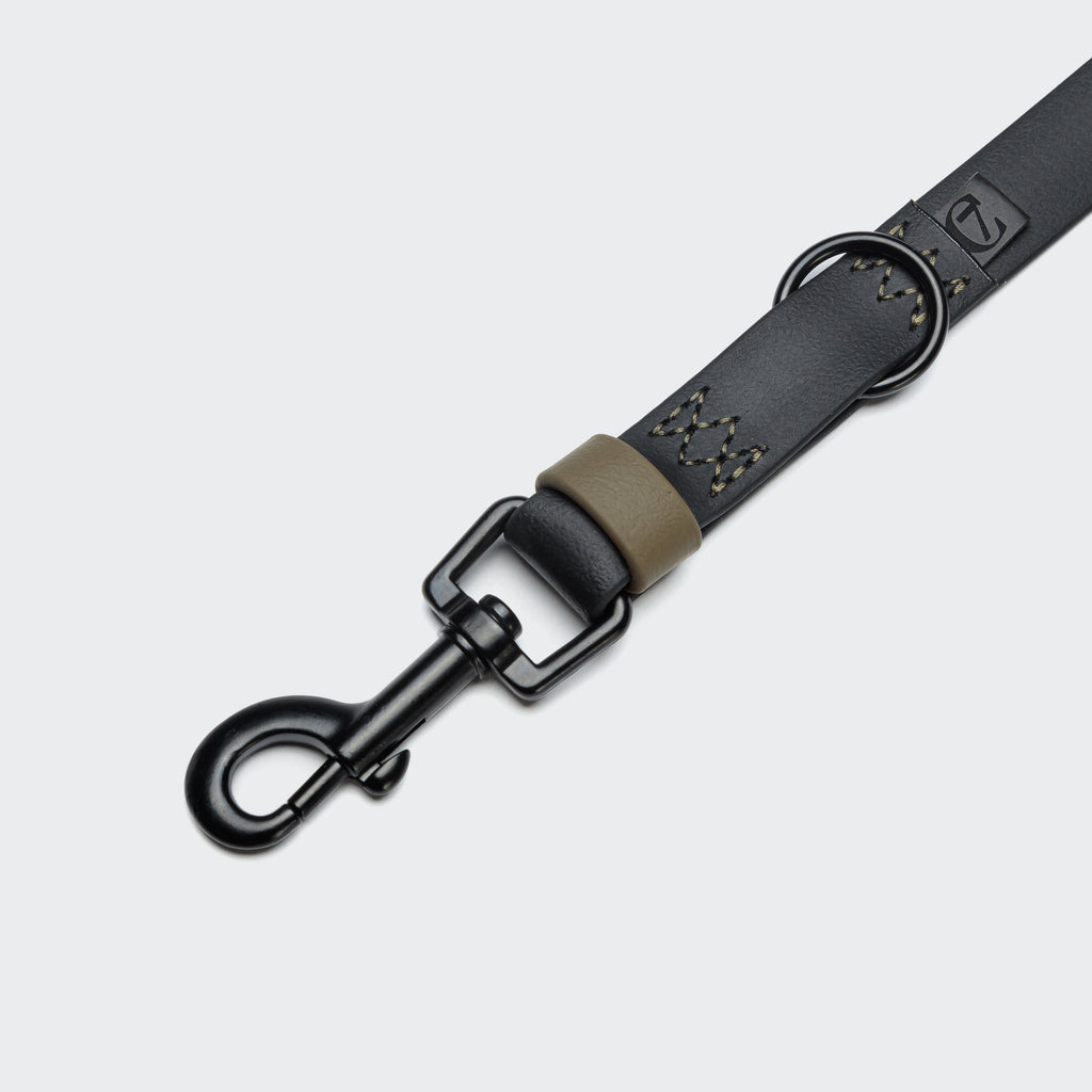 Premium BioThane Adjustable Dog Leash – Ipanema Black-Olive