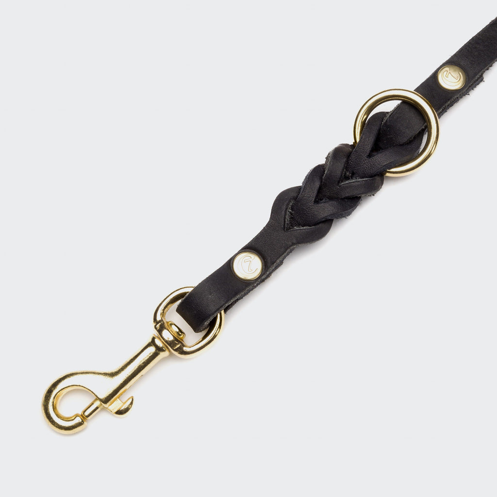 Riverside Park Dog Leash - Black & Gold