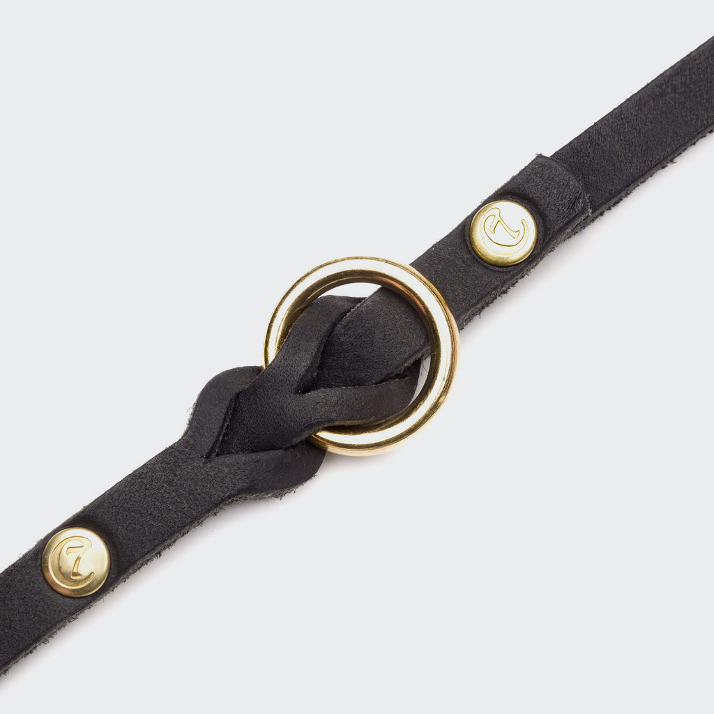 Riverside Park Dog Leash - Black & Gold