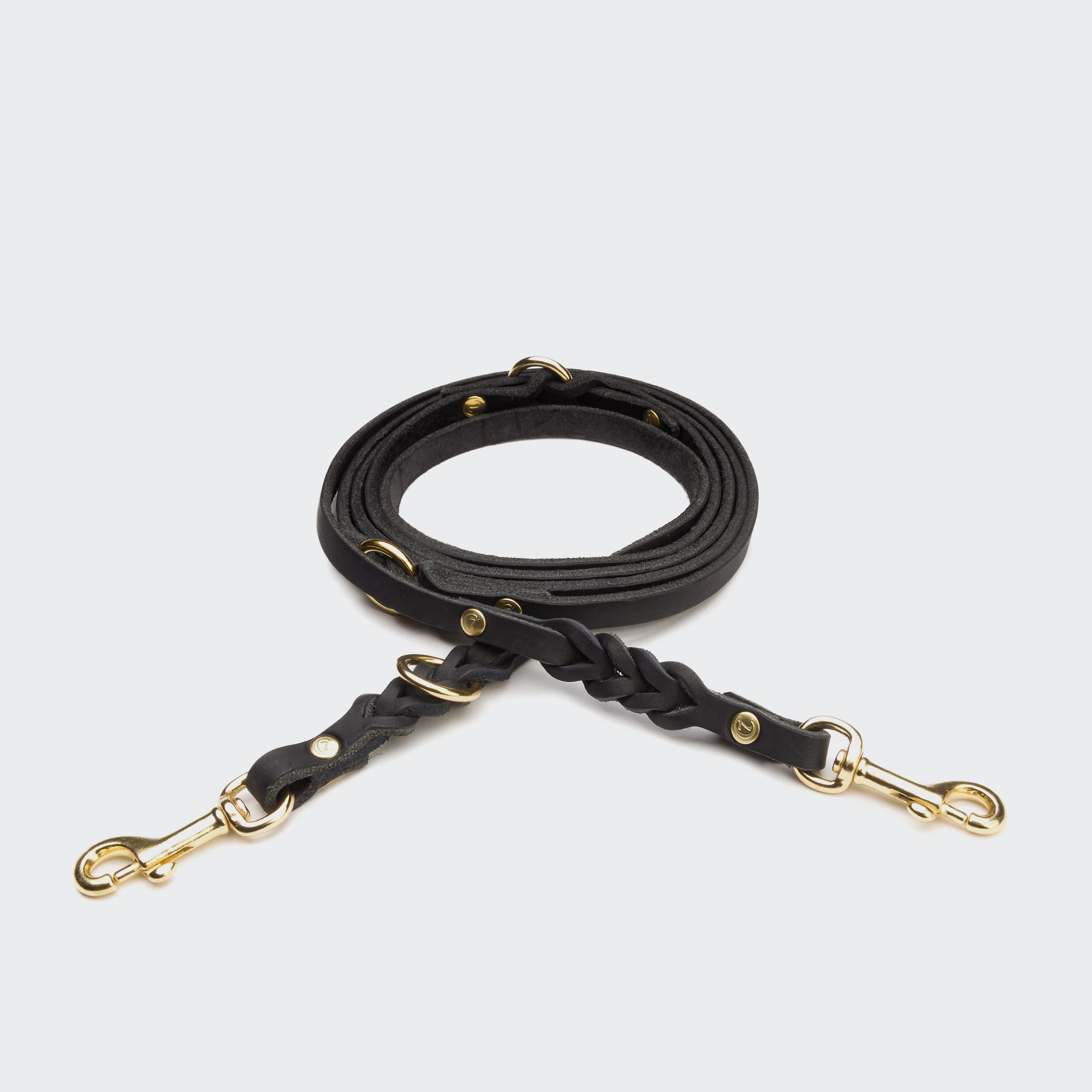 Riverside Park Dog Leash - Black & Gold