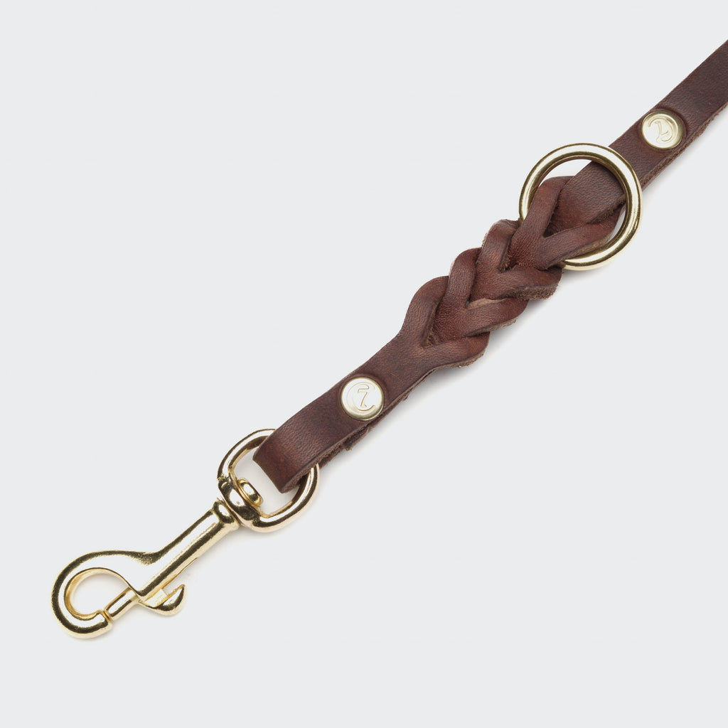 Riverside Park Dog Leash - Saddle Brown with Gold Accents
