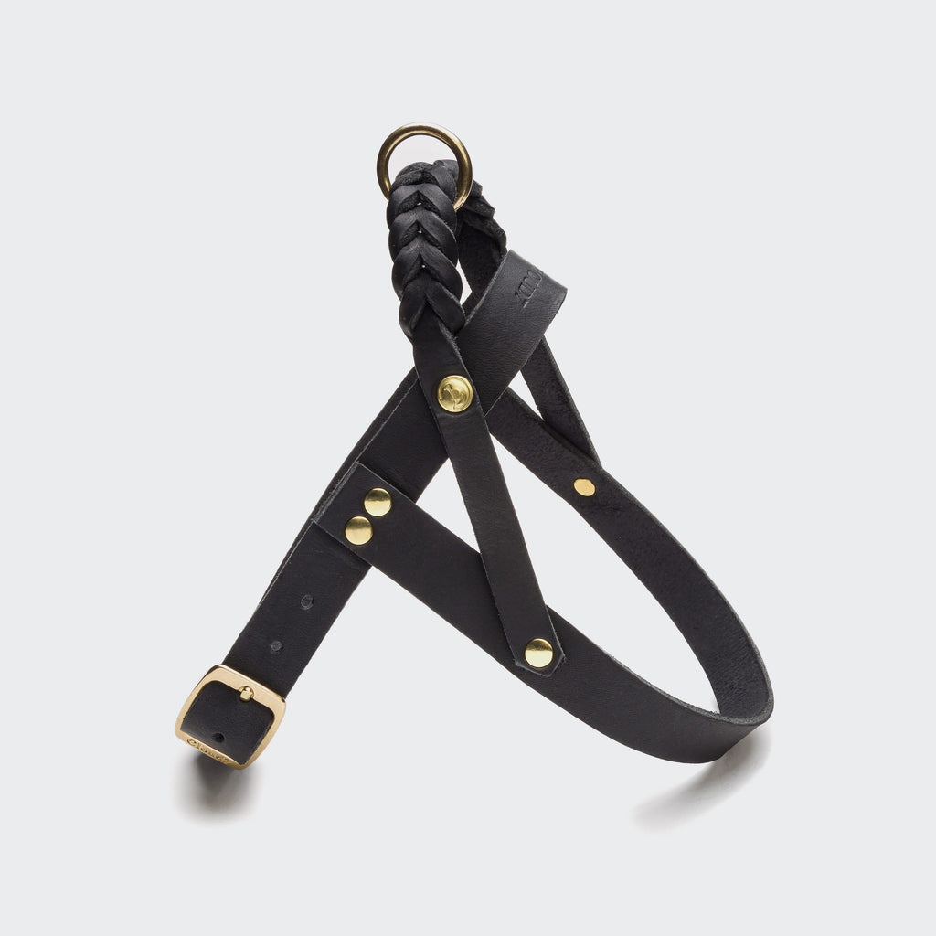 Central Park Black Gold Dog Harness – Stylish & Secure