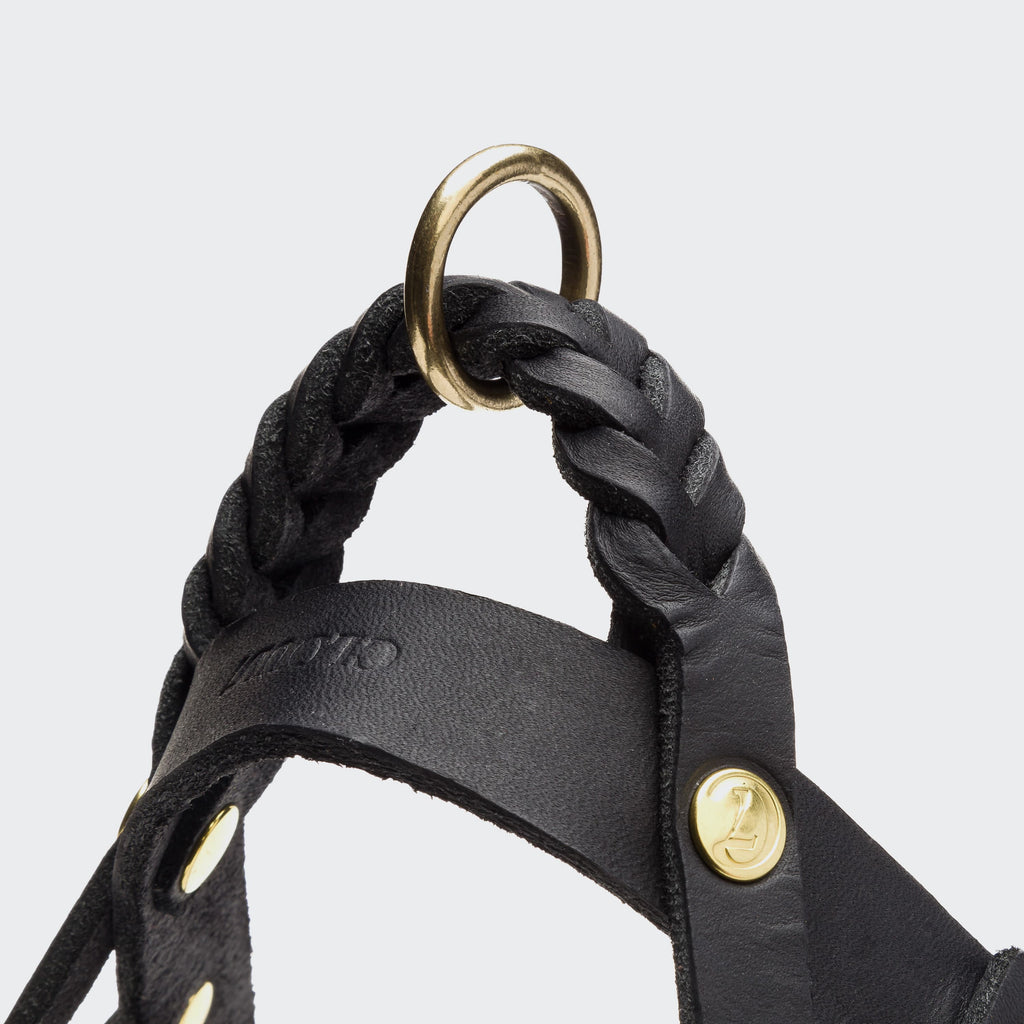 Central Park Black Gold Dog Harness – Stylish & Secure