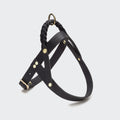 Central Park Black Gold Dog Harness – Stylish & Secure
