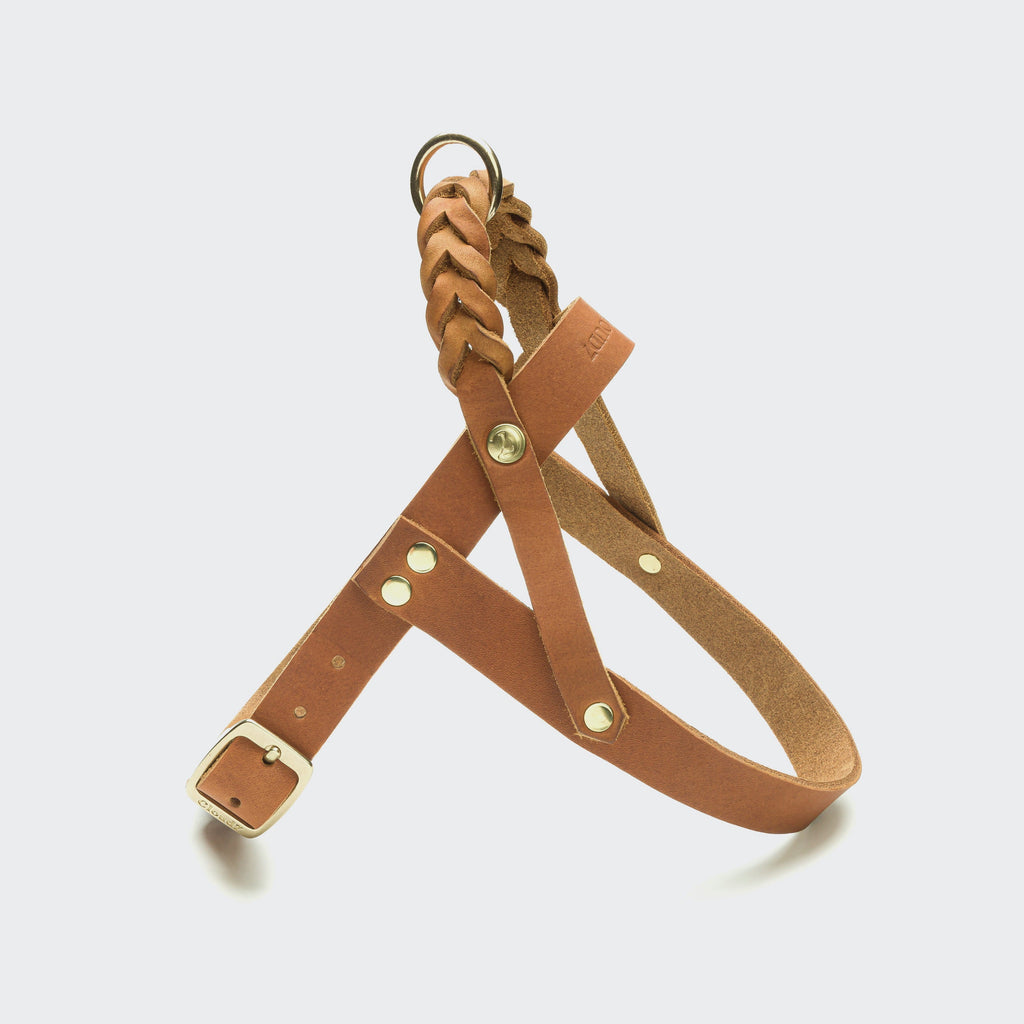 Central Park Camel Gold Dog Harness - Comfortable & Secure
