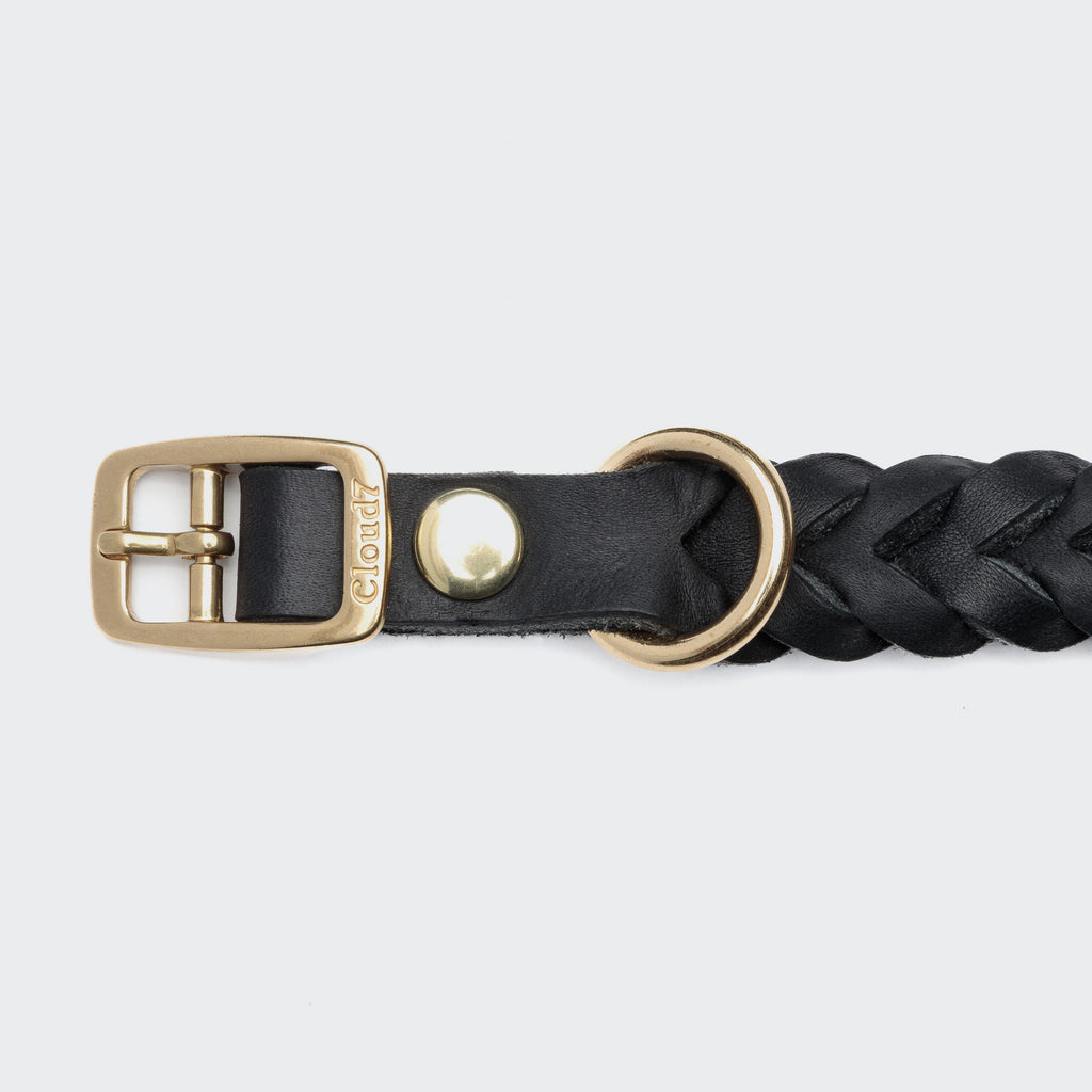 Central Park Black & Gold Dog Collar – Luxurious Style for Your Pup