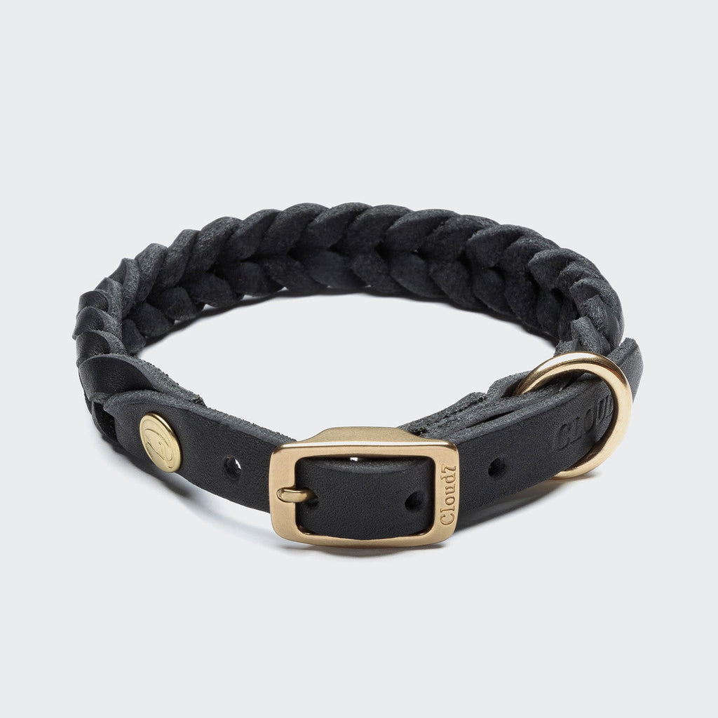Central Park Black & Gold Dog Collar – Luxurious Style for Your Pup
