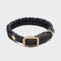 Central Park Black & Gold Dog Collar – Luxurious Style for Your Pup