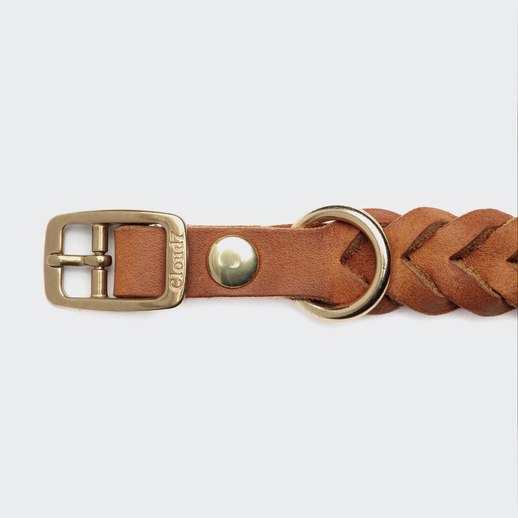 Central Park Camel Gold Dog Collar – Premium Leather, Timeless Style