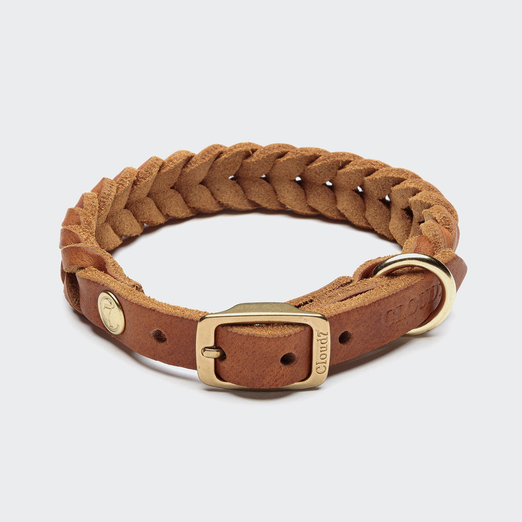 Central Park Camel Gold Dog Collar – Premium Leather, Timeless Style