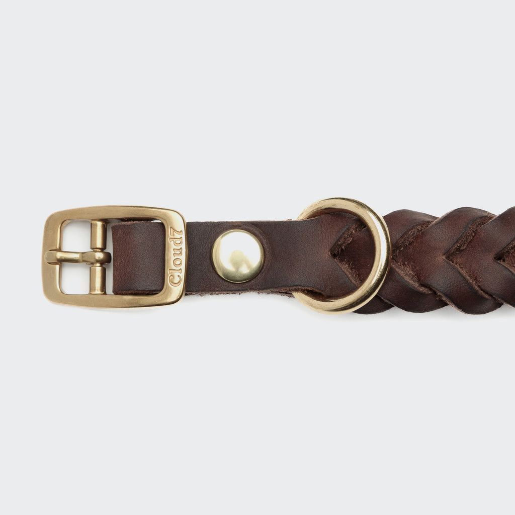 Central Park Dog Collar in Saddle Brown with Gold Accents