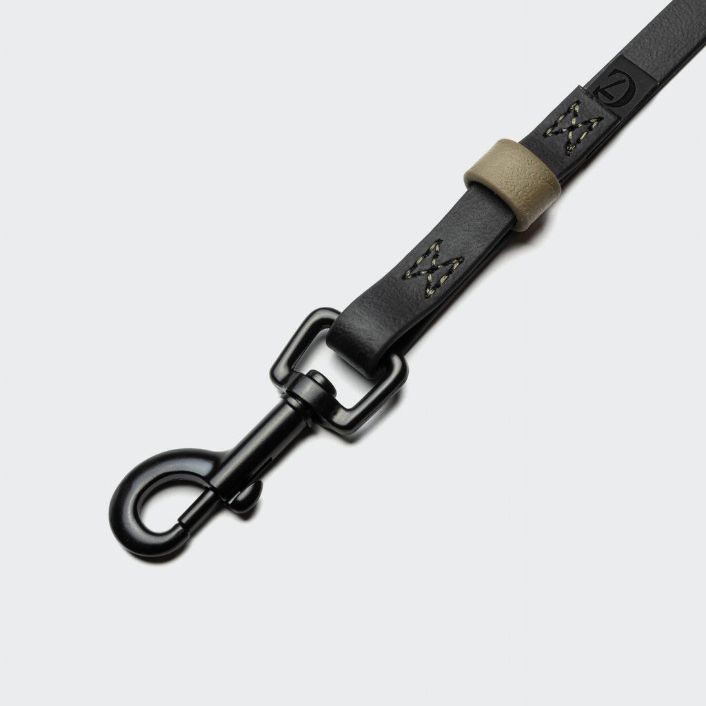 BioThane Ipanema Long-Line Dog Leash – Black-Olive