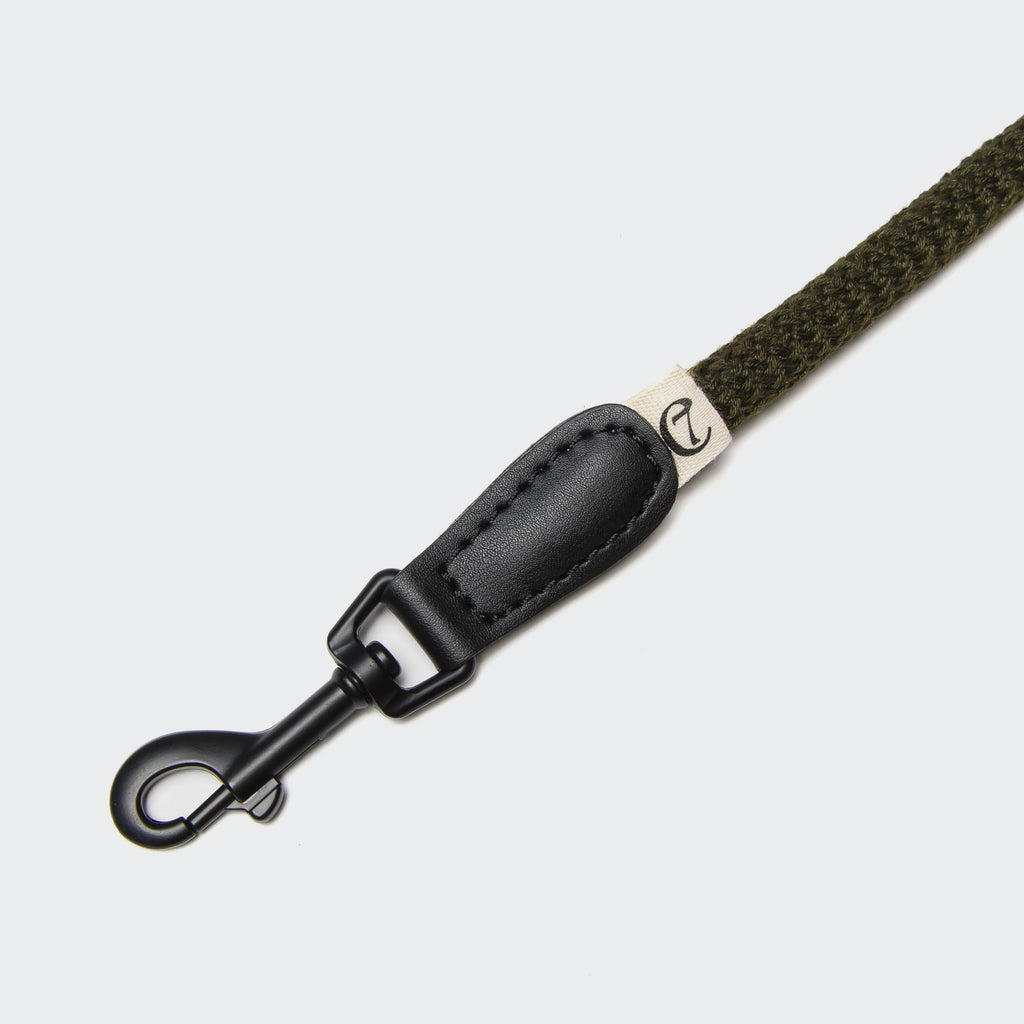 Mauerpark Olive Slip Lead - Comfortable Training Leash for Dogs
