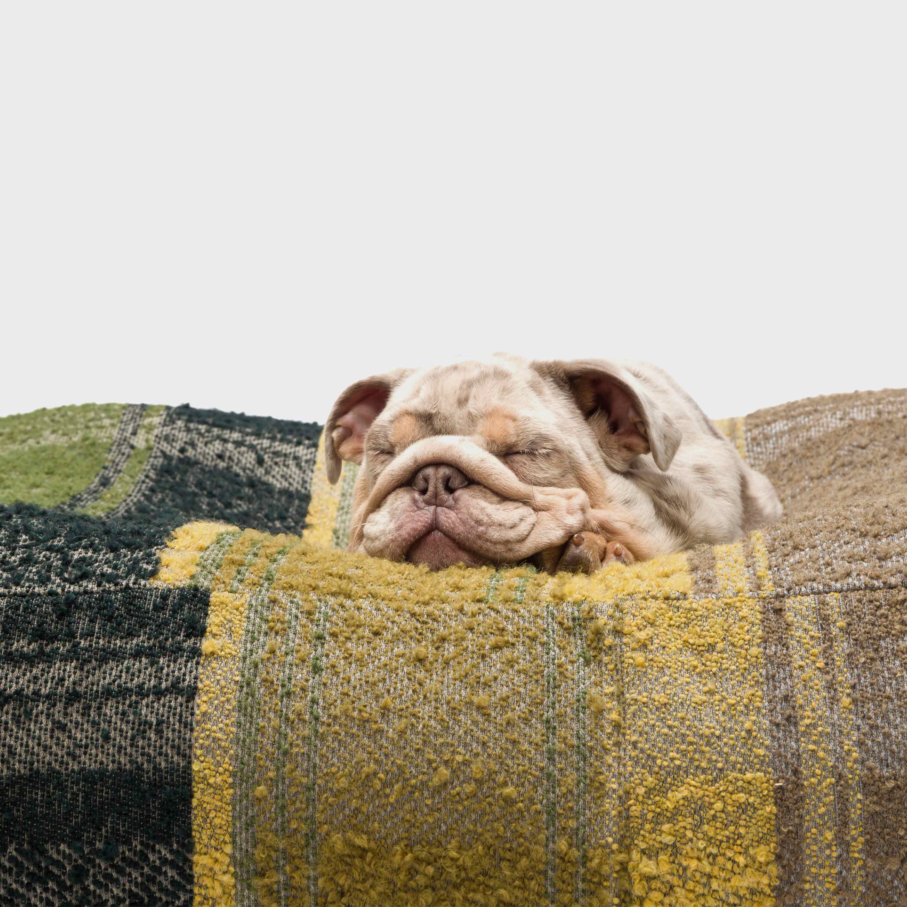 Tartan Green Replacement Dog Bed Cover — Durable, Cozy & Easy to Clean