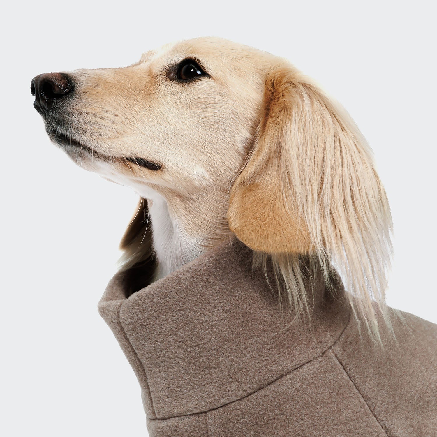 Cozy Dachshund Fleece Sweater in Cornwall Toffee